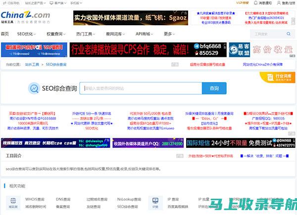 站长必备SEO推广技巧全解析：工具应用与专业视频指南