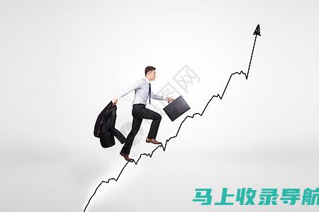 深度剖析：网站运营维护工作的核心内容与职责